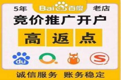 某行业sem竞价托管成功案例：精准投放的秘诀